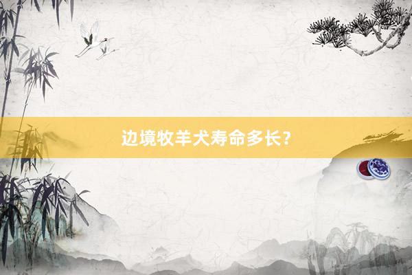 边境牧羊犬寿命多长?