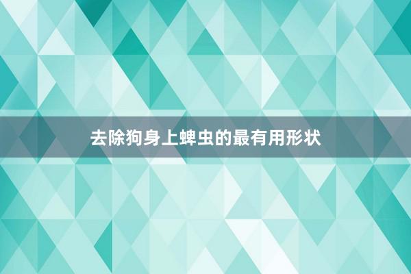 去除狗身上蜱虫的最有用形状