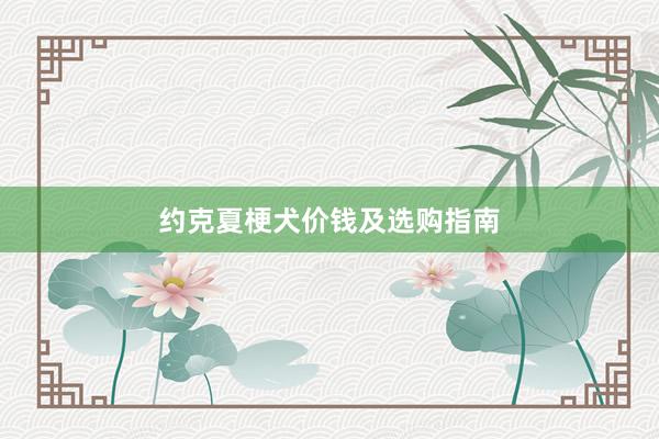 约克夏梗犬价钱及选购指南