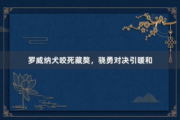 罗威纳犬咬死藏獒，骁勇对决引暖和
