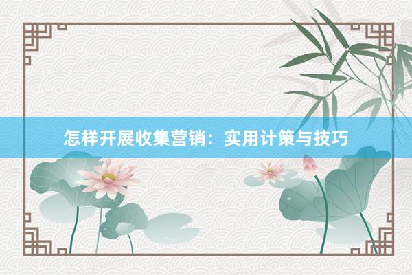 怎样开展收集营销：实用计策与技巧